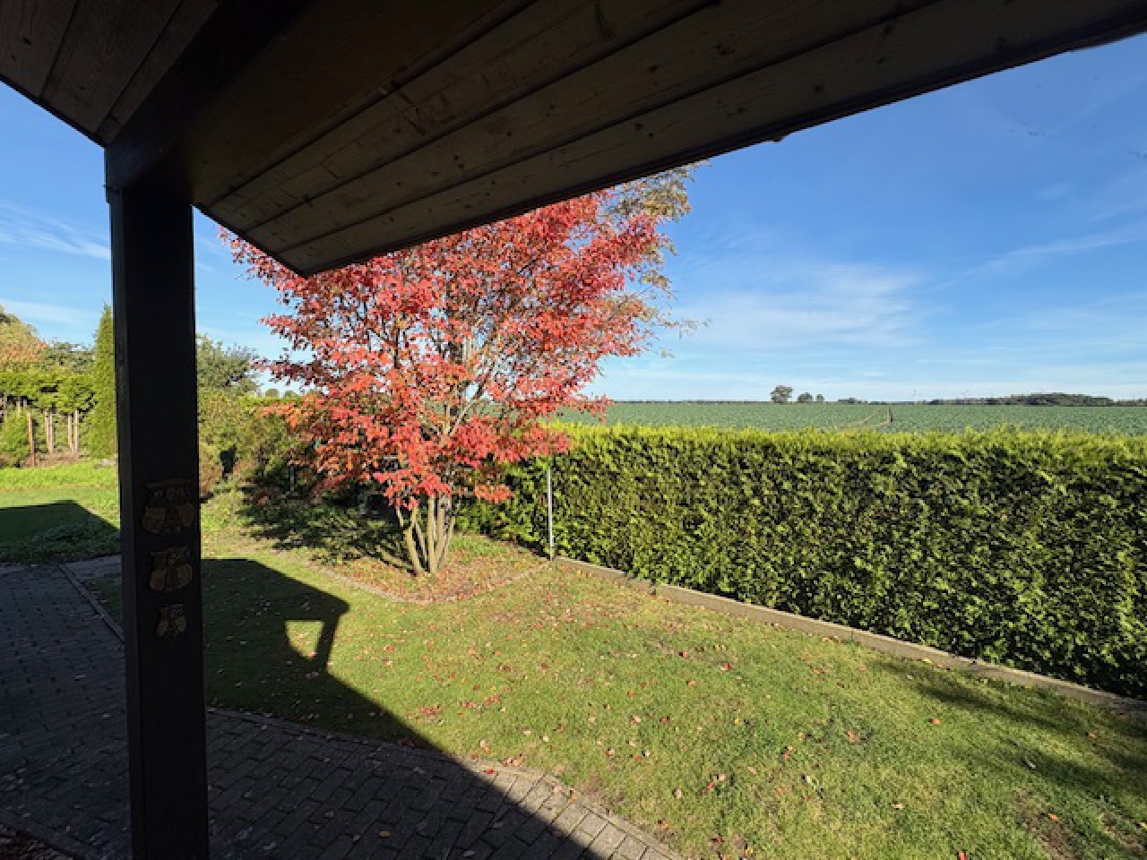 Bungalow in Feldrandlage 