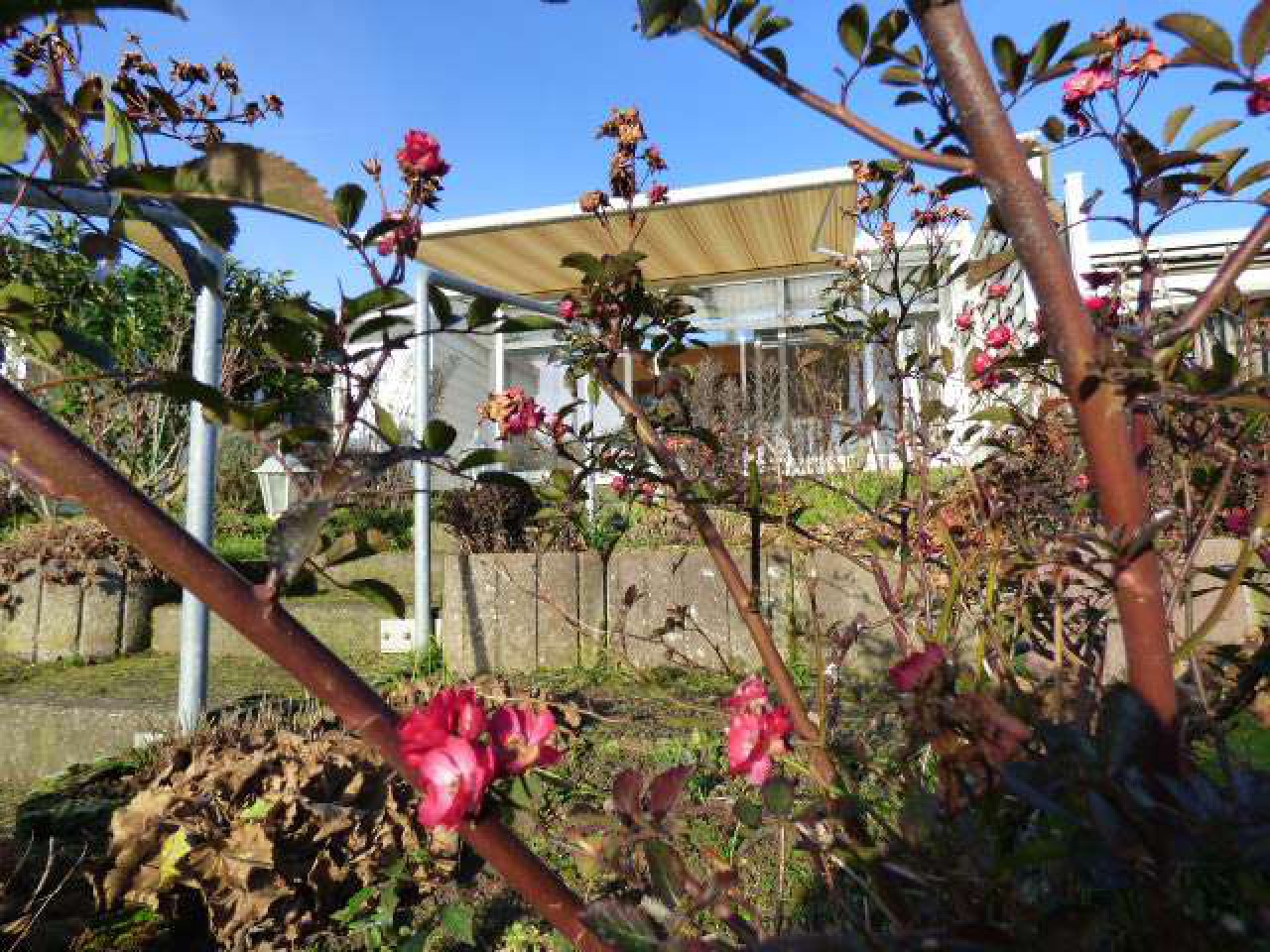 Bungalow mit Wintergarten und Blick auf die Lübecker Bucht!