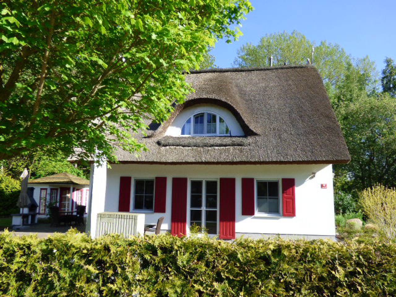 Sehr gut vermietet! Solar, Sauna, Kamin, Entkalkungsanlage... Ferienhaus unter Reet