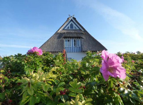 Möbliertes Einfamilienhaus unter Reet nur ca. 500 m vom Naturstrand