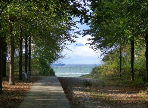 Ostsee & Schlossgut als Nachbarn! Wohnen unter Reet - nur ein Spaziergang von der Ostsee entfernt!